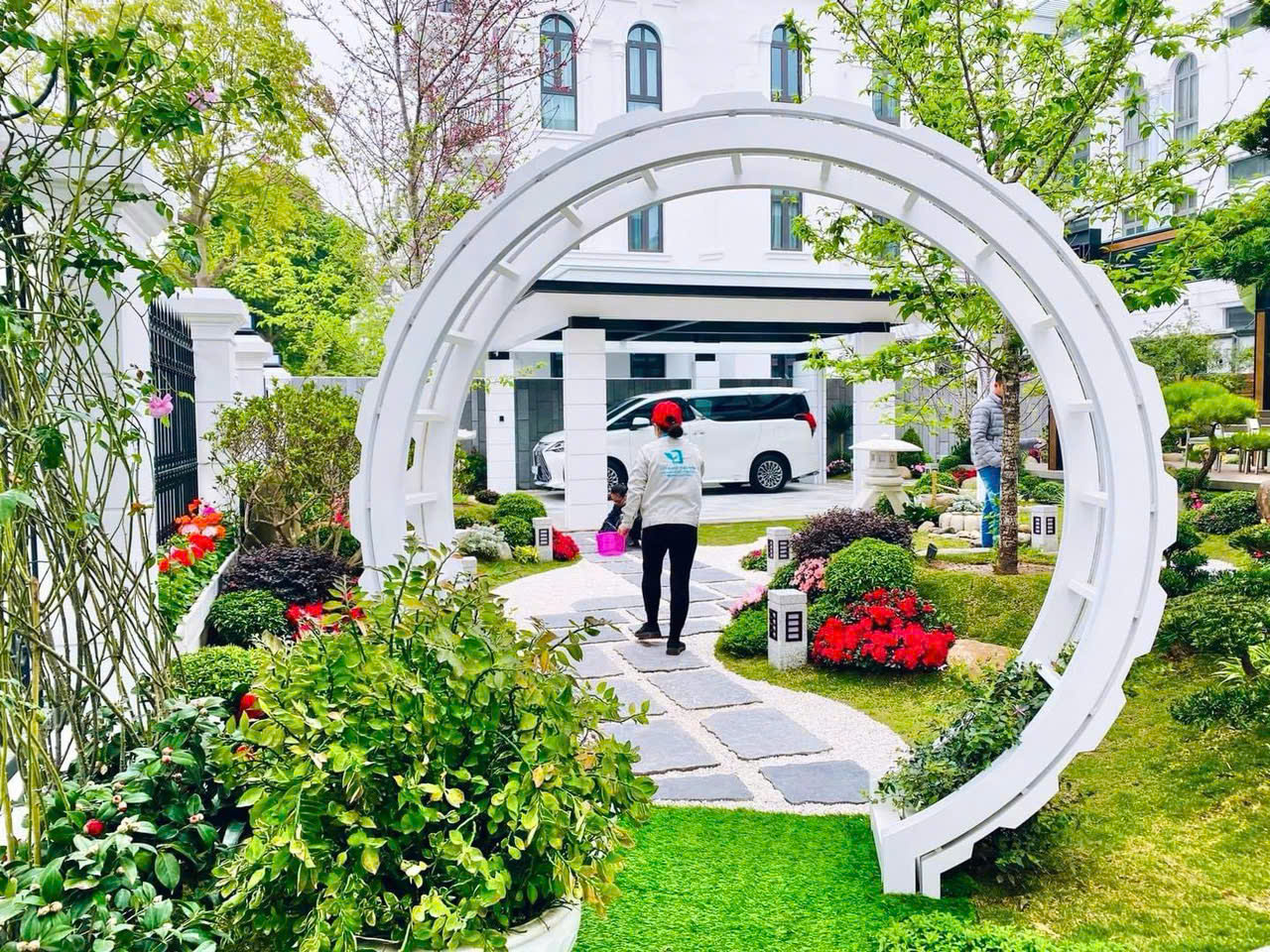 Dịch vụ chăm sóc sân vườn 1 z5845192032446 d08132cc5e3572d374ef9f9db5e0573c