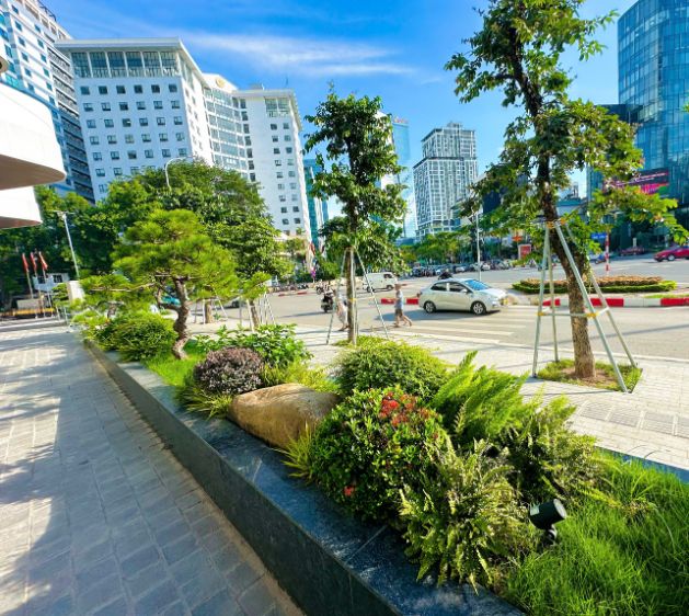 Ảnh khách sạn dân tộc