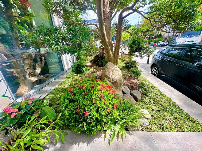 Thi công công trình sân vườn tại Khu đô thị Xanh Villas 1 z7974702426257_a78d3fe974de7673b2773f93d88a49b6